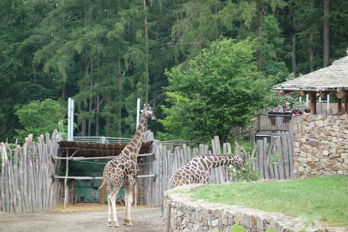 Výlet do ZOO Jihlava - 9. 6. 2023