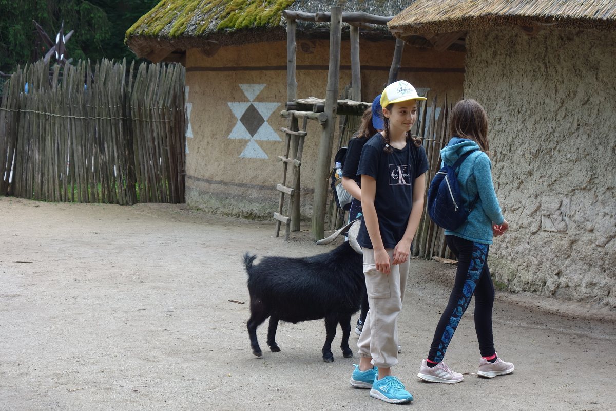 Výlet do ZOO Jihlava - 9. 6. 2023