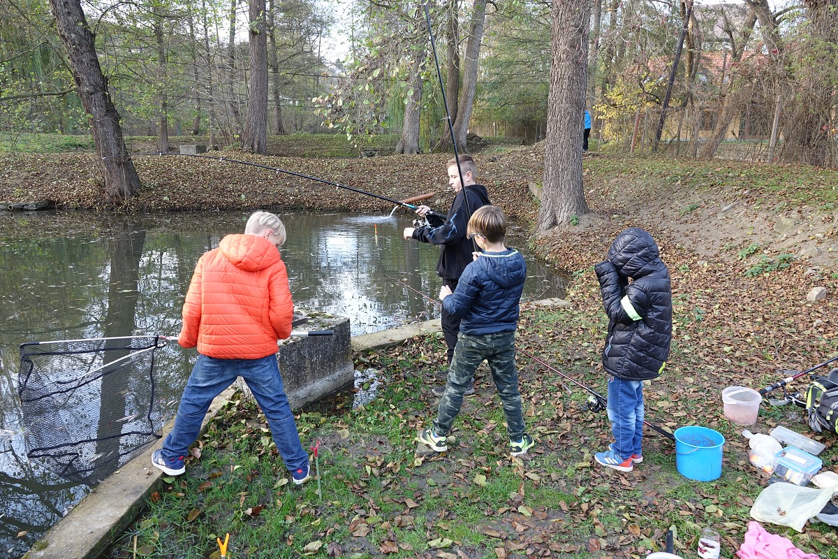 Rybářský kroužek u vody /1. 11. 2022/