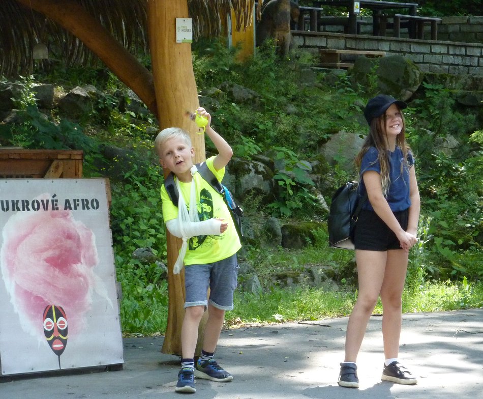 Výlet 1. - 3. ročníku do ZOO Jihlava (17. 6. 2019)