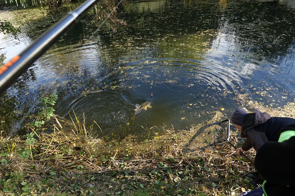 Rybářský kroužek u vody 21. 10. 2021