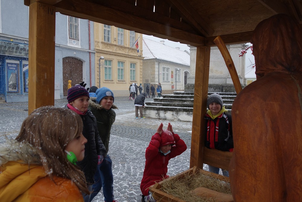 Zdobení vánočních stromků 26. 11. 2021