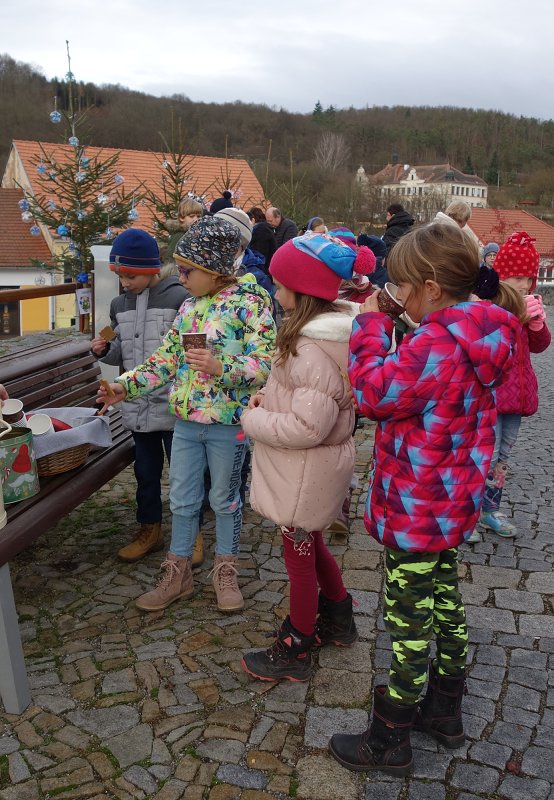 Zdobení vánočních stromků  (29. 11. 2019)