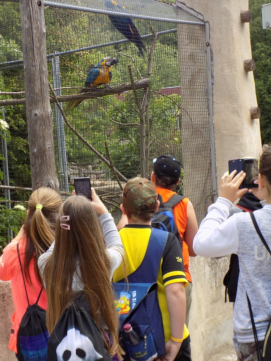 Výlet 4., 5.. a 8. ročníku do Zoo Jihlava (8. 6. 2017)