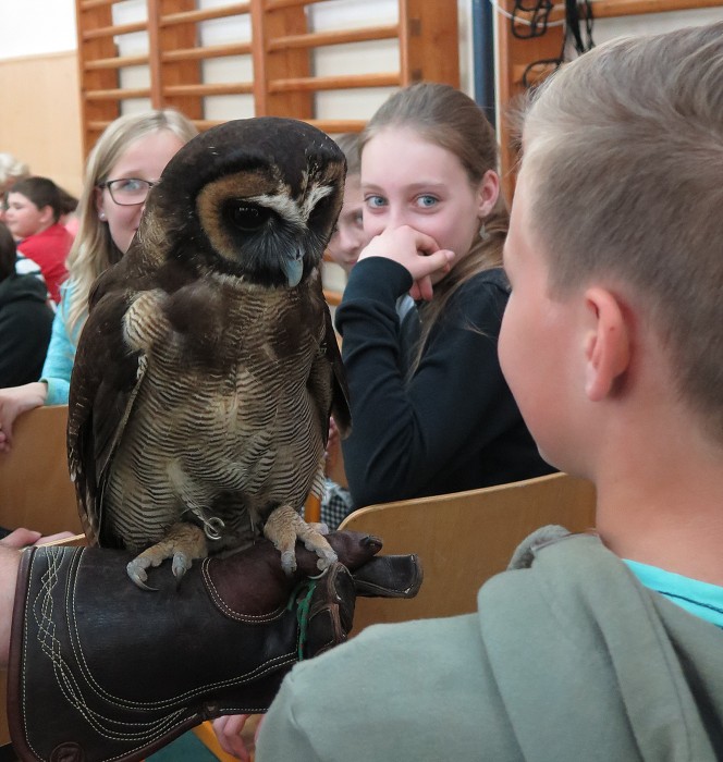 Ikaros  (18. května 2018)