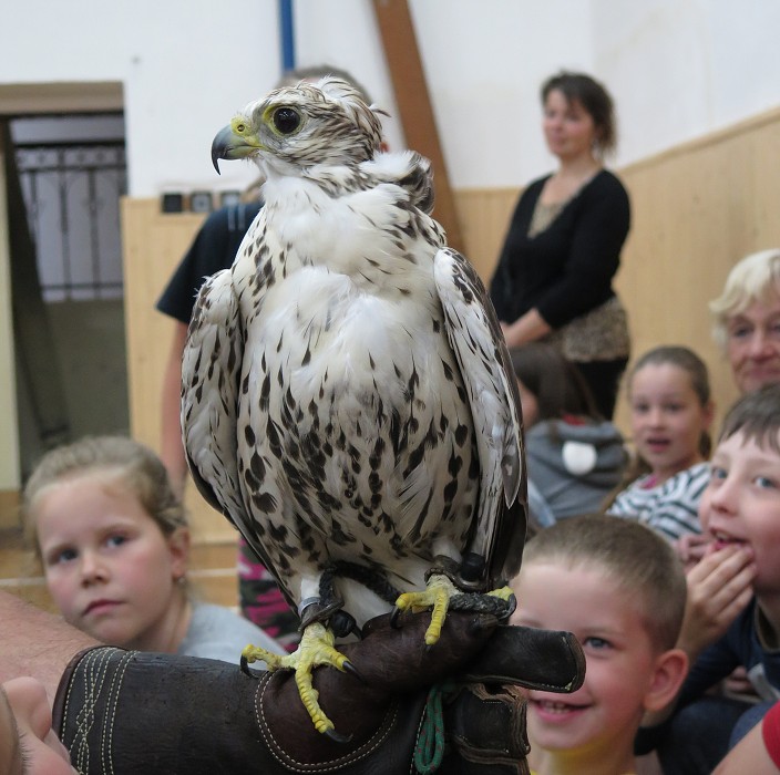 Ikaros  (18. května 2018)