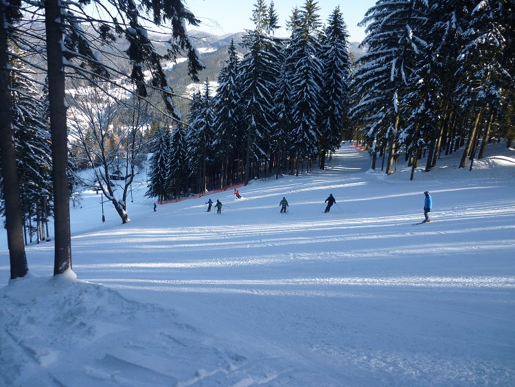 Horní Bečva (28.1. -  3.2. 2012)