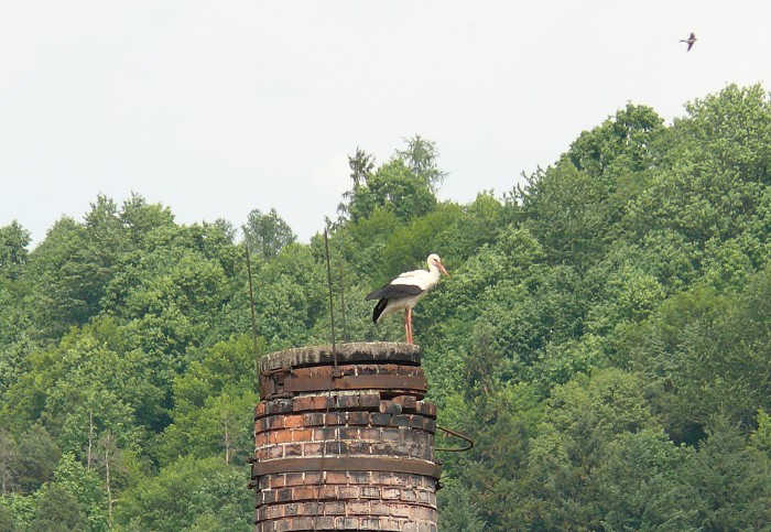 Slavnostní otevření Zelené školní zahrady (31.5.2012)