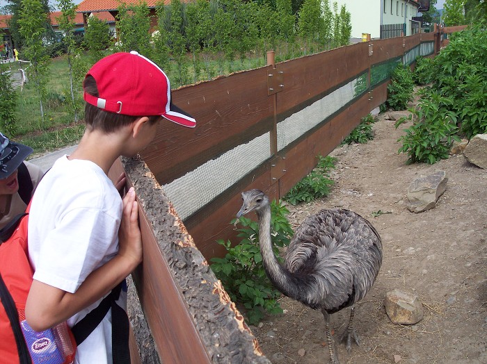 Školní výlet -  Zoopark a Dinopark Vyškov (22.5.2012)