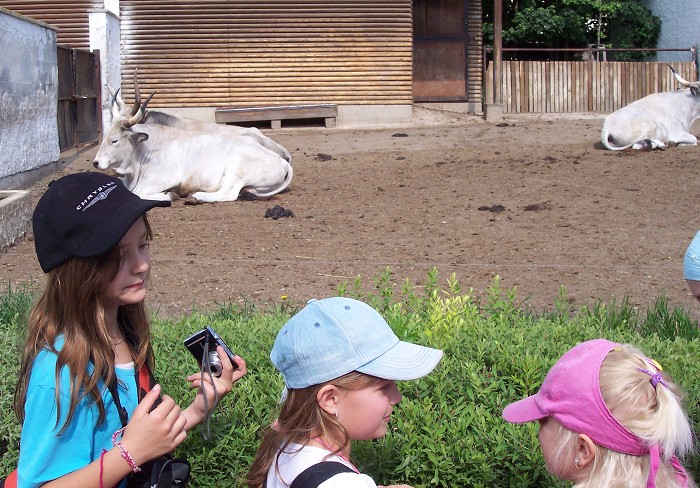 Školní výlet -  Zoopark a Dinopark Vyškov (22.5.2012)