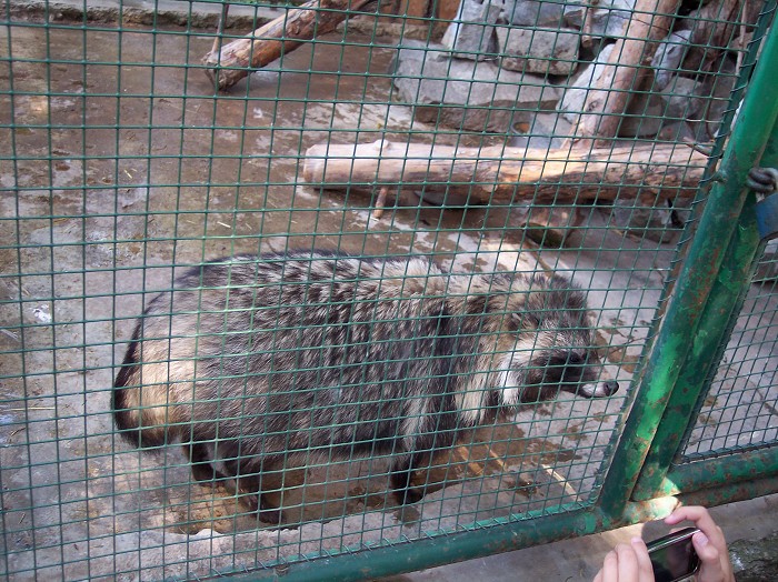 Školní výlet -  Zoopark a Dinopark Vyškov (22.5.2012)