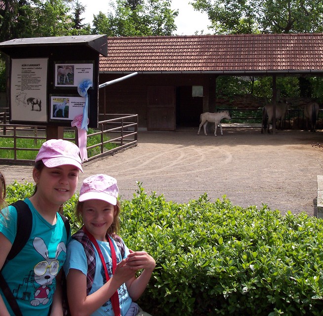 Školní výlet -  Zoopark a Dinopark Vyškov (22.5.2012)