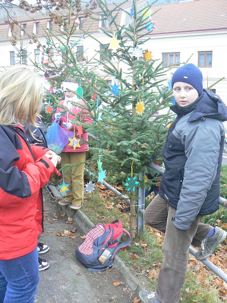 Zdobení vánočních stromků (25.11.2011)