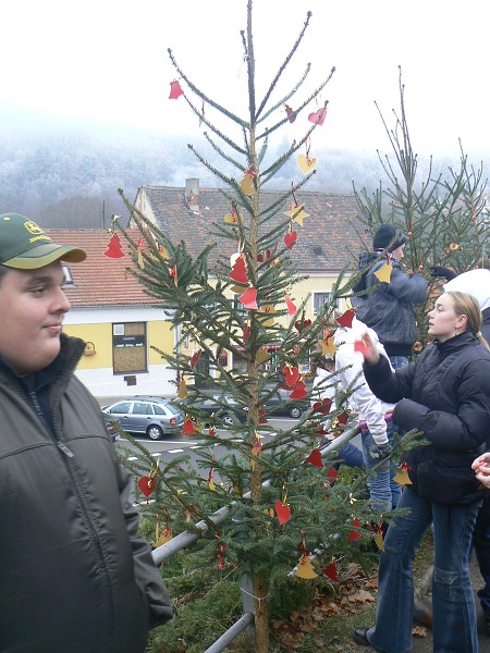 Zdobení vánočních stromků (25.11.2011)