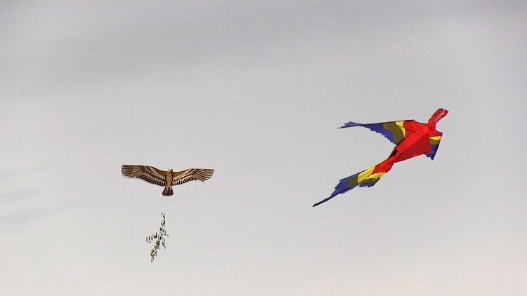 Drakiáda  - 15. ročník - 13.10.2012