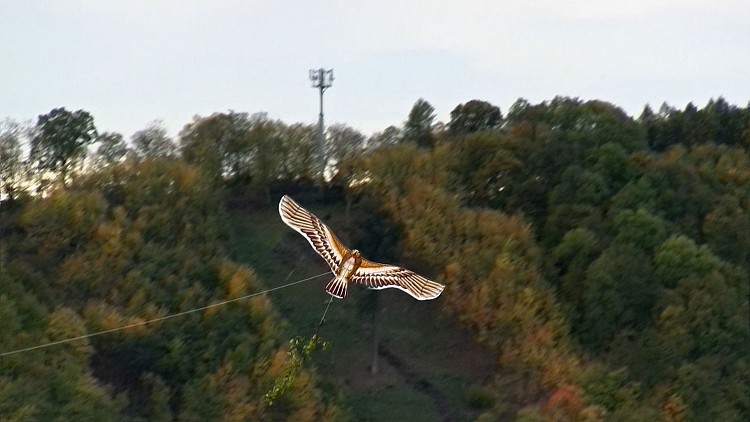 Drakiáda  - 15. ročník - 13.10.2012