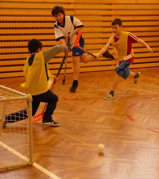 Florbal v Blížkovicích (4. února 2014)