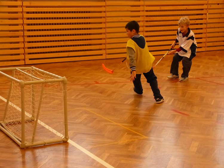 Florbal v Blížkovicích (4. února 2014)