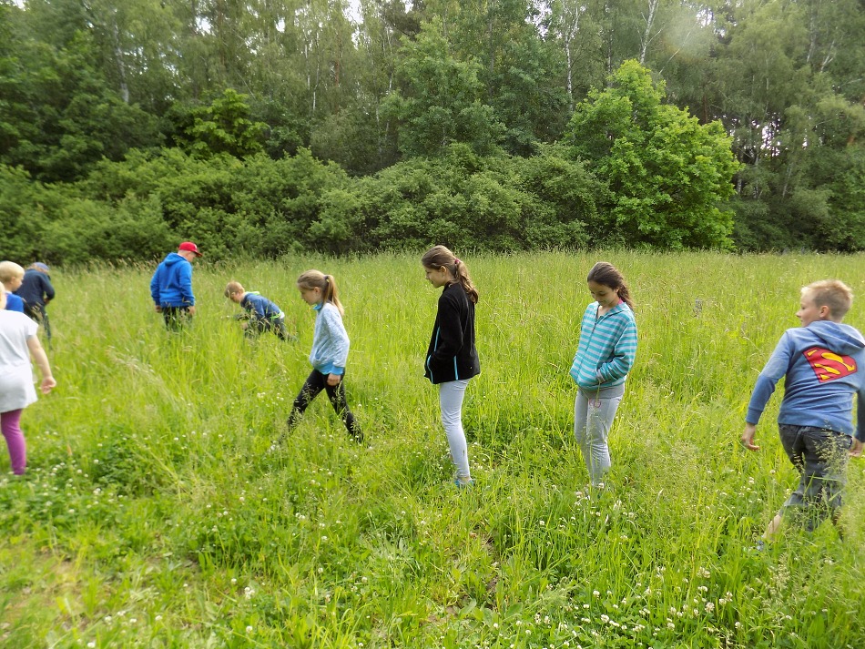 Projekt PŘÍRODNÍ SPOLEČENSTVA /1. 6. 2016/