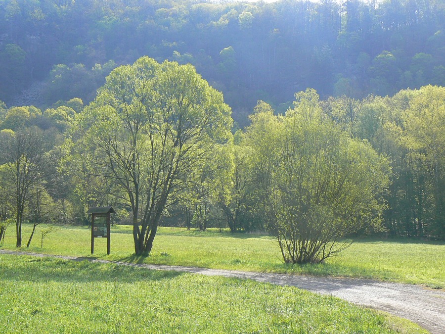 Vycházka do NP Podyjí /28.4.2016/